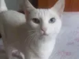 Linda bebê