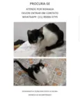 Bisnaga