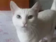 Linda bebê