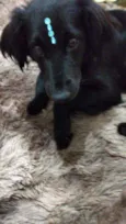 Rubi