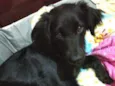 Rubi