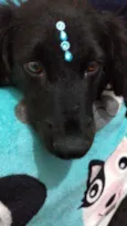 Rubi