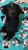 Rubi