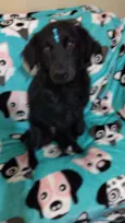 Rubi