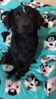 Rubi
