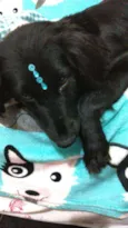Rubi