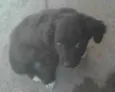 Não tem nome 