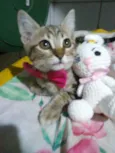 Princesa