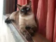BARTOLOMEU 