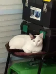 Fantasma