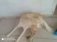 Lucky