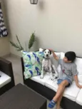 Pongo