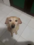 Mel