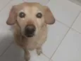 Mel