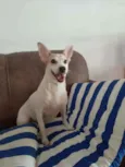 Estrela (Ad especial