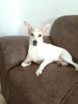 Estrela (Ad especial