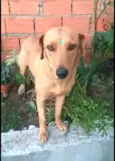 Julie