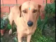 Julie