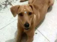 Julie