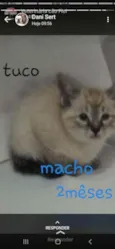Tuco