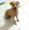Julie