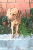 Julie