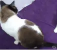 Yuri lindo demais !!