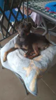 Scooby