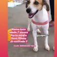 Teka