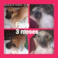 Pepa