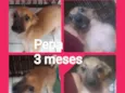 Pepa