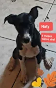 Naty