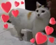 Princesa