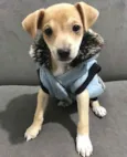 YURI