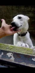 Théo