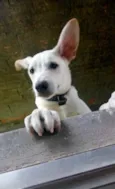 Théo