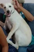 Théo