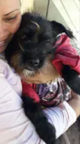 Bella 