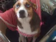 Megan