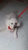 Bili