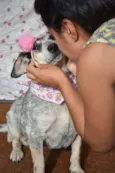 Azulzinha