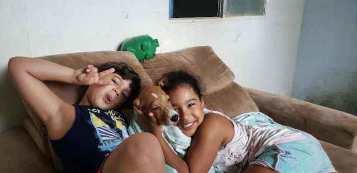 Cachorro raça SRD idade 2 a 6 meses nome Paçoca