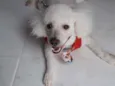 Bili