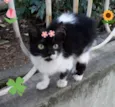 Valentina