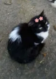 Valentina
