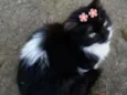 Valentina