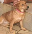 Bella