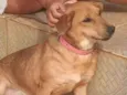 Bella