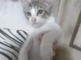 Carlos