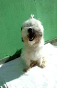 Belinha
